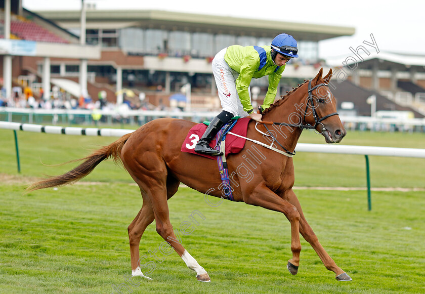 Berwick-Law-0002 
 BERWICK LAW (Rossa Ryan)
Haydock 2 Sep 2022 - Pic Steven Cargill / Racingfotos.com