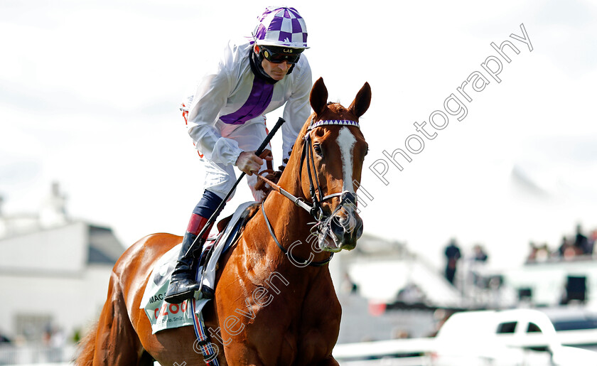 Mac-Swiney-0002 
 MAC SWINEY (Kevin Manning)
Epsom 5 Jun 2021 - Pic Steven Cargill / Racingfotos.com