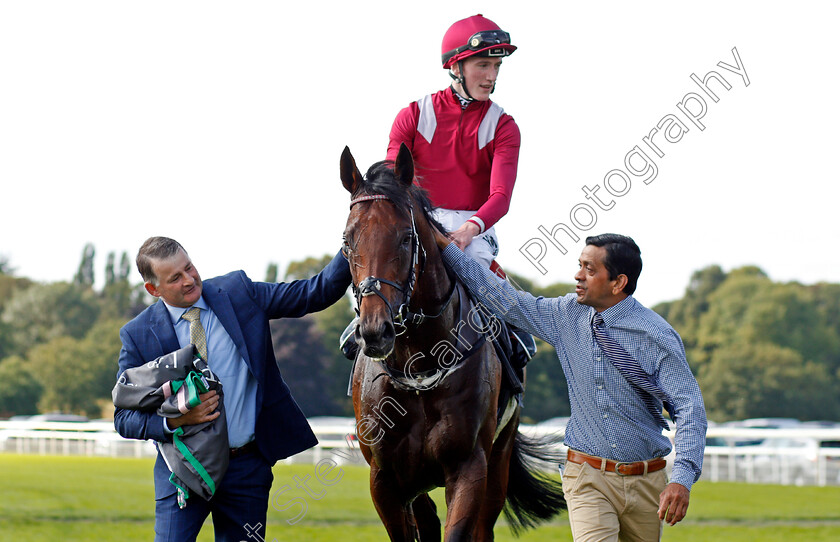 Mishriff-0009 
 MISHRIFF (David Egan) after The Juddmonte International
York 18 Aug 2021 - Pic Steven Cargill / Racingfotos.com