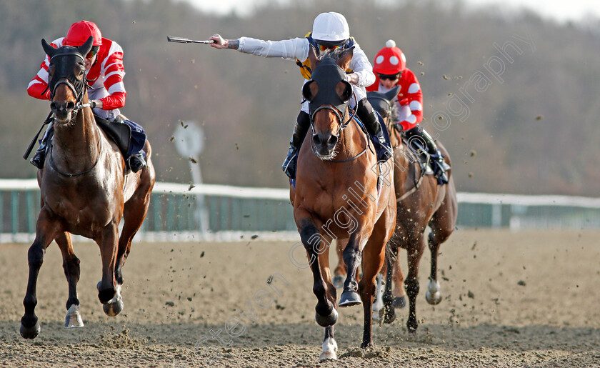 Burrumbeet-0006 
 BURRUMBEET (right, Richard Kingscote) beats DRAGON MALL (left) in The Play Jackpot Games At sunbets.co.uk/vegas Novice Stakes Lingfield 16 Feb 2018 - Pic Steven Cargill / Racingfotos.com