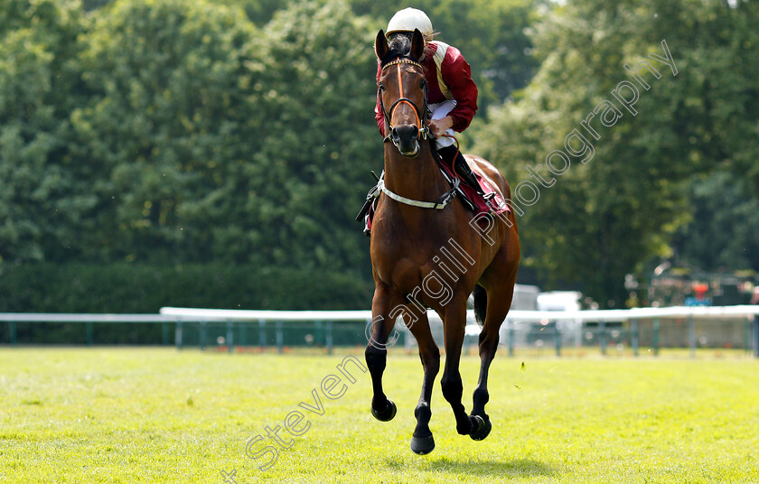 Heartache-0001 
 HEARTACHE (Martin Harley)
Haydock 26 May 2018 - Pic Steven Cargill / Racingfotos.com