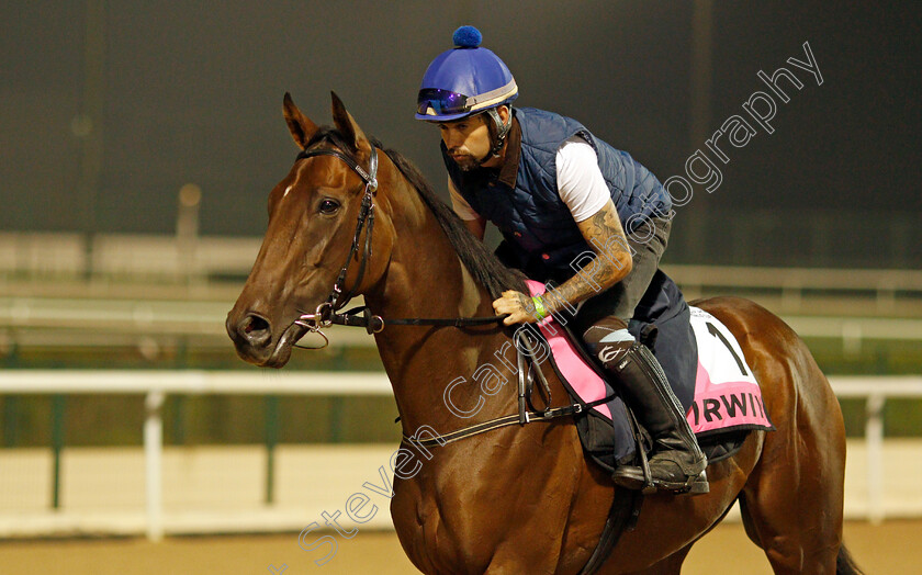 Irwin-0001 
 IRWIN training for the UAE Derby
Meydan, Dubai, 22 Mar 2022 - Pic Steven Cargill / Racingfotos.com