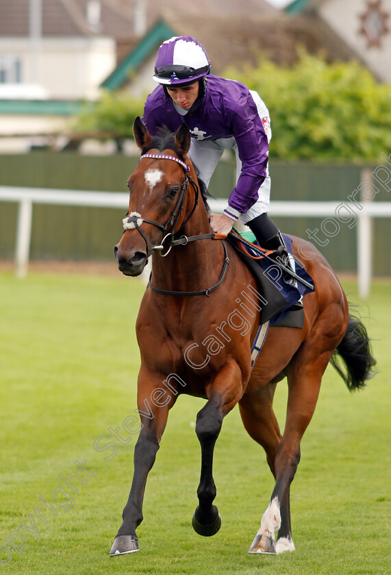 Poderoso-0001 
 PODEROSO (Rossa Ryan)
Yarmouth 14 Jul 2021 - Pic Steven Cargill / Racingfotos.com