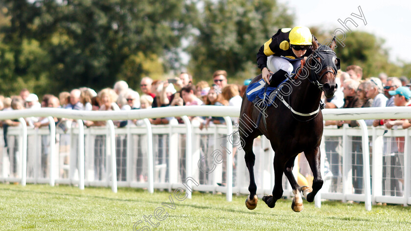 Rise-Hall-0003 
 RISE HALL (Callum Shepherd) wins The M J Church Novice Stakes
Salisbury 16 Aug 2018 - Pic Steven Cargill / Racingfotos.com