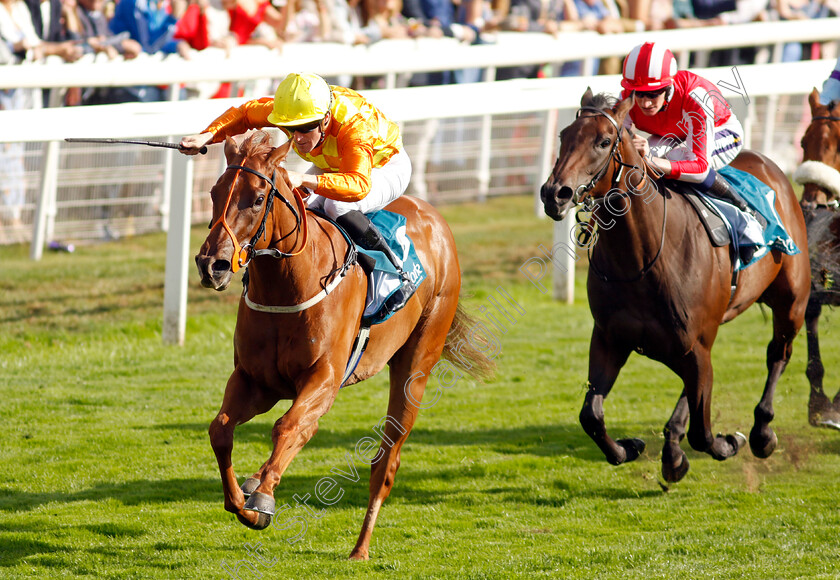 Treasure-Trove-0005 
 TREASURE TROVE (W J Lee) wins The Julia Graves Roses Stakes
York 20 Aug 2022 - Pic Steven Cargill / Racingfotos.com