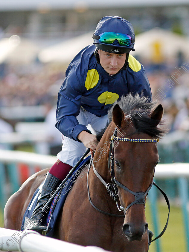 Yabher-0004 
 YABHER (Cieren Fallon) winner of The British Stallion Studs EBF Maiden Stakes
Doncaster 14 Sep 2024 - Pic Steven Cargill / Racingfotos.com