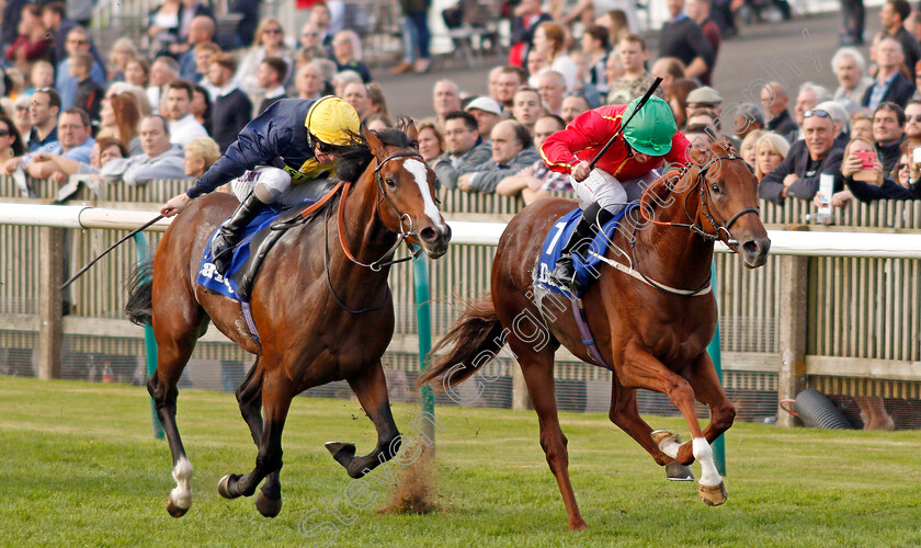 Rufus-King-0002 
 RUFUS KING (right, P J McDonald) beats PORTH SWTAN (left) in The Darley Nursery Newmarket 14 Oct 2017 - Pic Steven Cargill / Racingfotos.com