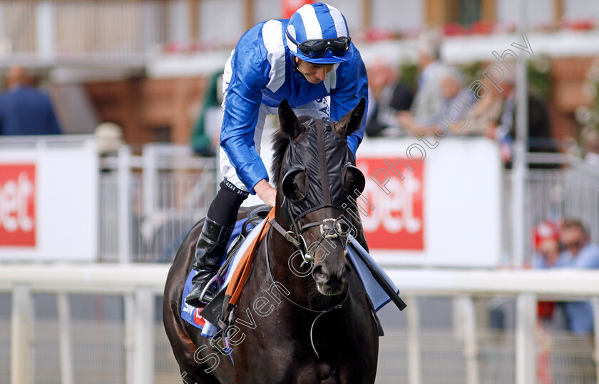 Mutasaabeq-0001 
 MUTASAABEQ (Ryan Moore)
York 26 Aug 2023 - Pic Steven Cargill / Racingfotos.com