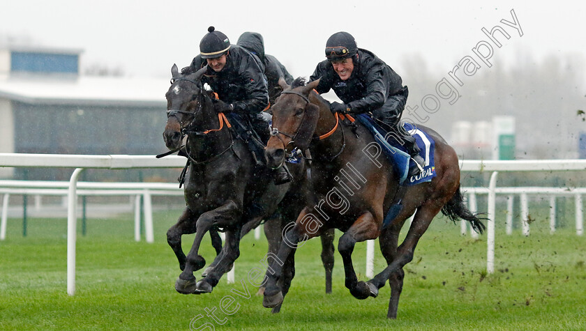 Champ-and-Shishkin-0003 
 CHAMP (right, A P McCoy) and SHISHKIN (left, Nico de Boinville) at Coral Gold Cup Weekend Gallops Morning
Newbury 15 Nov 2022 - Pic Steven Cargill / Racingfotos.com