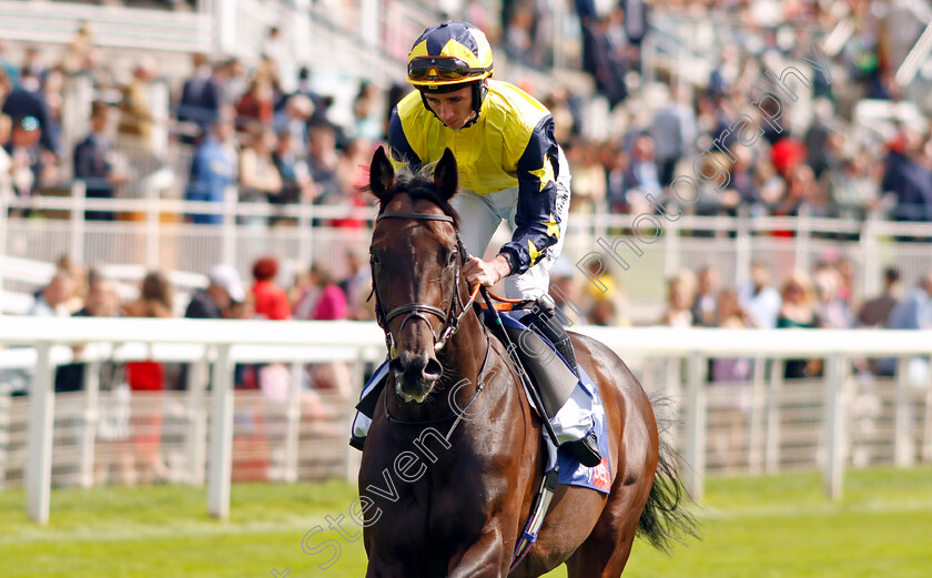 Tabletalk-0006 
 TABLETALK (Rossa Ryan) winner of The Sky Bet Melrose Stakes
York 24 Aug 2024 - Pic Steven Cargill / Racingfotos.com