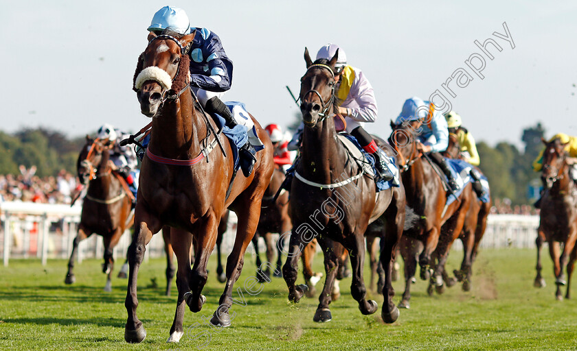 Que-Amoro-0003 
 QUE AMORO (Phil Dennis) wins The Sky Bet Apprentice Handicap
York 24 Aug 2019 - Pic Steven Cargill / Racingfotos.com