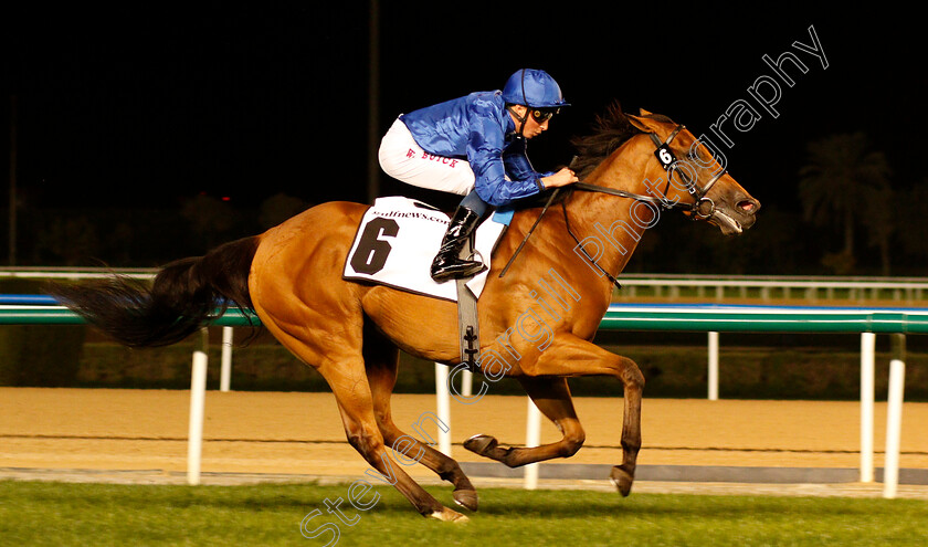 Poetic-Charm-0004 
 POETIC CHARM (William Buick) wins The Balanchine Stakes
Meydan 14 Feb 2019 - Pic Steven Cargill / Racingfotos.com