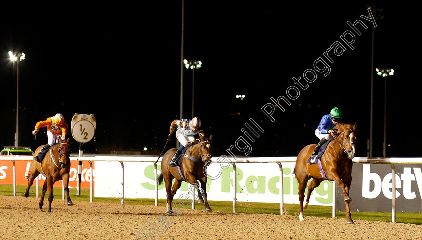 Hathal-0003 
 HATHAL (Nicola Currie) wins The Betway Conditions Stakes
Wolverhampton 7 Jan 2019 - Pic Steven Cargill / Racingfotos.com