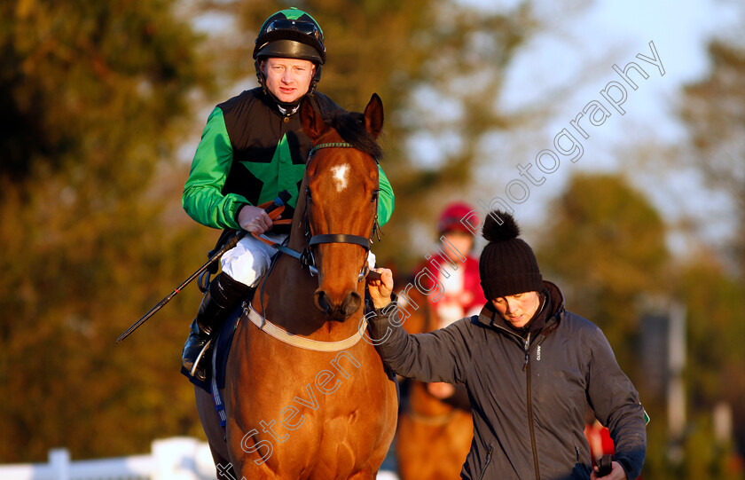 Carpe-Fortuna-0001 
 CARPE FORTUNA (William Carson)
Lingfield 21 Jan 2023 - Pic Steven Cargill / Racingfotos.com