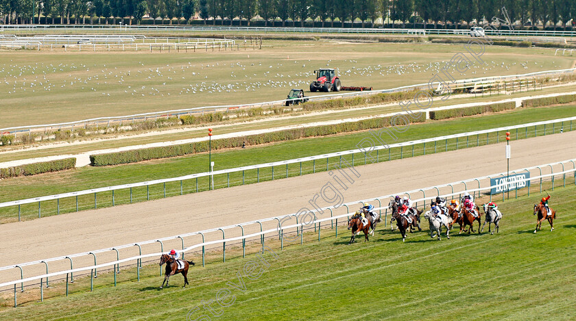 Bid-Adieu-0001 
 BID ADIEU (T Baron) wins The Prix Federation Des Eleveurs Du Galop
Deauville 8 Aug 2020 - Pic Steven Cargill / Racingfotos.com