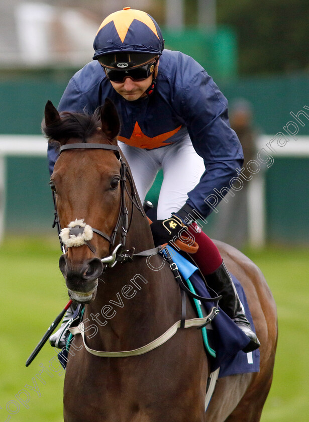 Noor-Bano-0001 
 NOOR BANO (Jefferson Smith)
Yarmouth 19 Sep 2023 - Pic Steven Cargill / Racingfotos.com