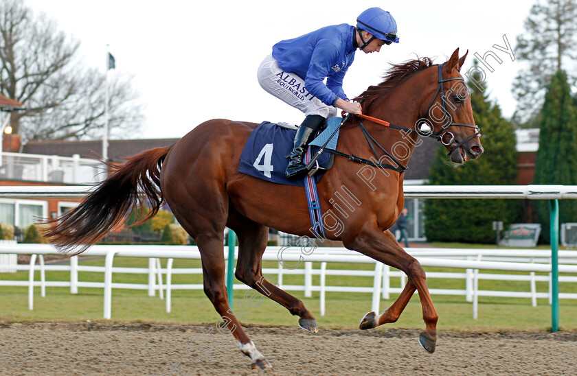 Dubai-One-0002 
 DUBAI ONE (Oisin Murphy) winner of The Betway Sprint Handicap Lingfield 30 Dec 2017 - Pic Steven Cargill / Racingfotos.com