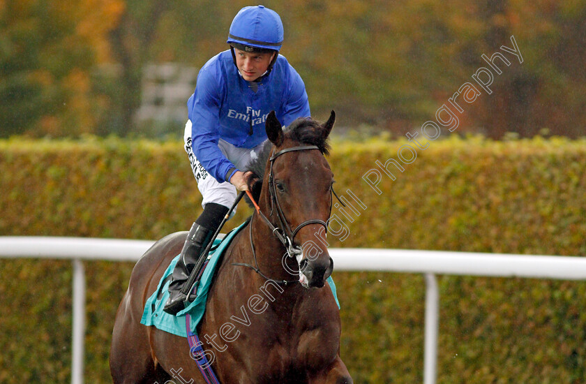 Laieth-0001 
 LAIETH (Tom Marquand) Kempton 11 Oct 2017 - Pic Steven Cargill / Racingfotos.com