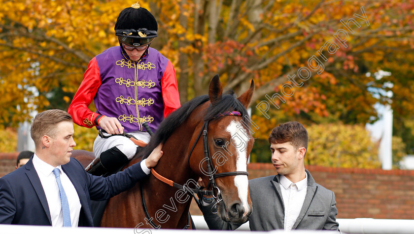 Formality-0001 
 FORMALITY (James Doyle)
Newmarket 23 Oct 2019 - Pic Steven Cargill / Racingfotos.com