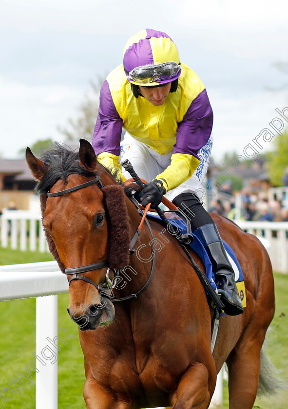 Bergerac 
 BERGERAC (Tom Eaves)
York 11 May 2022 - Pic Steven Cargill / Racingfotos.com