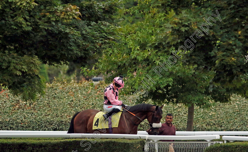 Calanthe-0001 
 CALANTHE (Hollie Doyle)
Kempton 28 Aug 2024 - Pic Steven Cargill / Racingfotos.com