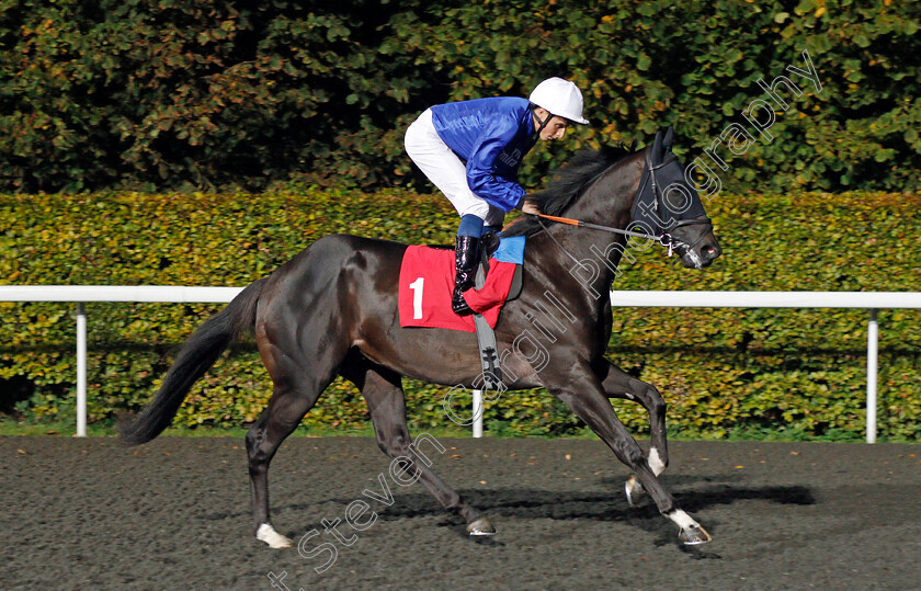 Last-Voyage-0001 
 LAST VOYAGE (William Buick) Kempton 18 Oct 2017 - Pic Steven Cargill / Racingfotos.com