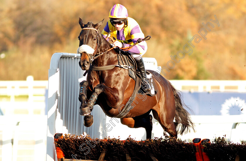 Hitherjacques-Lady-0001 
 HITHERJACQUES LADY (Leighton Aspell) Ascot 25 Nov 2017 - Pic Steven Cargill / Racingfotos.com