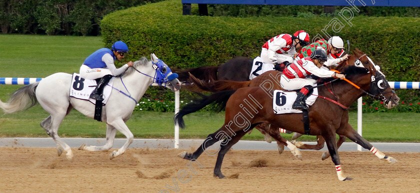 Game-Time-0005 
 GAME TIME (Sandro Paiva) wins The Lincoln Race for purebred arabians
Meydan 2 Feb 2024 - Pic Steven Cargill / Racingfotos.com