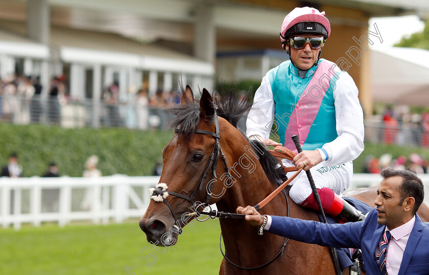 Sangarius-0008 
 SANGARIUS (Frankie Dettori) after The Hampton Court Stakes
Royal Ascot 20 Jun 2019 - Pic Steven Cargill / Racingfotos.com