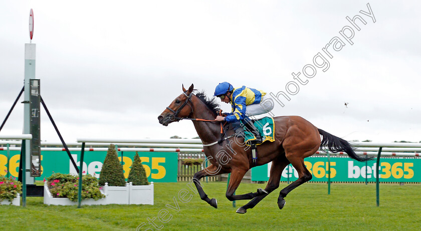 Trueshan-0004 
 TRUESHAN (William Buick) wins The bet365 Old Rowley Cup Handicap
Newmarket 11 Oct 2019 - Pic Steven Cargill / Racingfotos.com