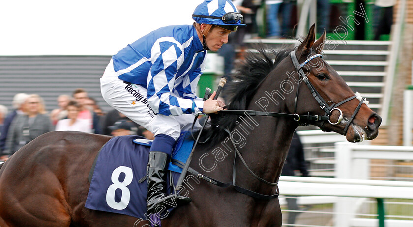 Hameem-0001 
 HAMEEM (Jim Crowley) Yarmouth 24 Oct 2017 - Pic Steven Cargill / Racingfotos.com