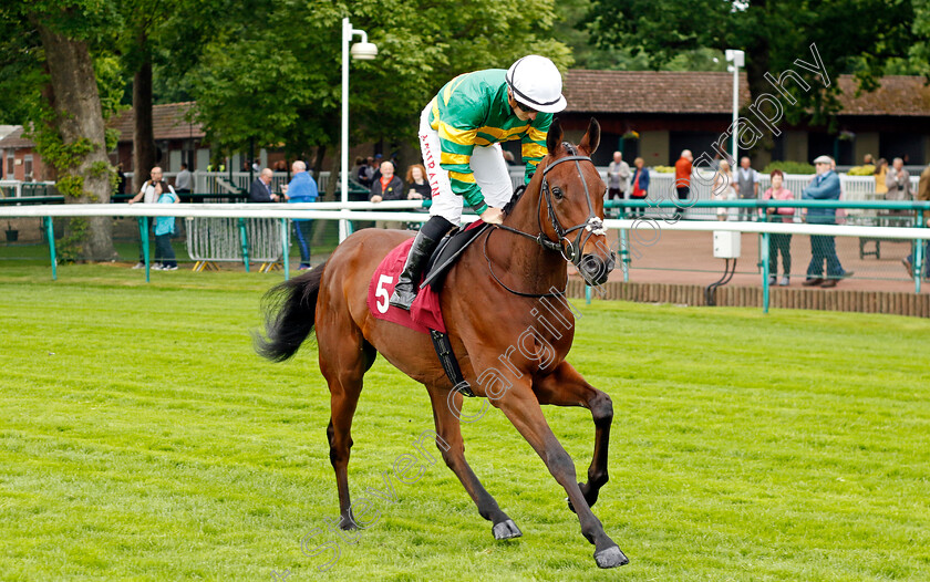 Merveillo 
 MERVEILLO (Tom Marquand)
Haydock 21 May 2022 - Pic Steven Cargill / Racingfotos.com