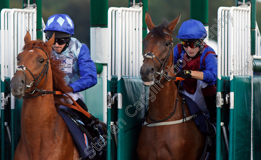 Ravens-Ark-0001 
 winner RAVENS ARK (left, Charlie Bennett) breaks from the stalls with CONFILS (right, Cieren Fallon) in The Play 4 To Win At Betway Handicap Div2
Lingfield 5 Aug 2020 - Pic Steven Cargill / Racingfotos.com