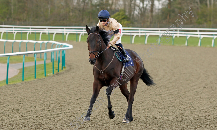 Lakota-Brave-0002 
 LAKOTA BRAVE (Hollie Doyle)
Lingfield 4 Apr 2024 - Pic Steven Cargill / Racingfotos.com