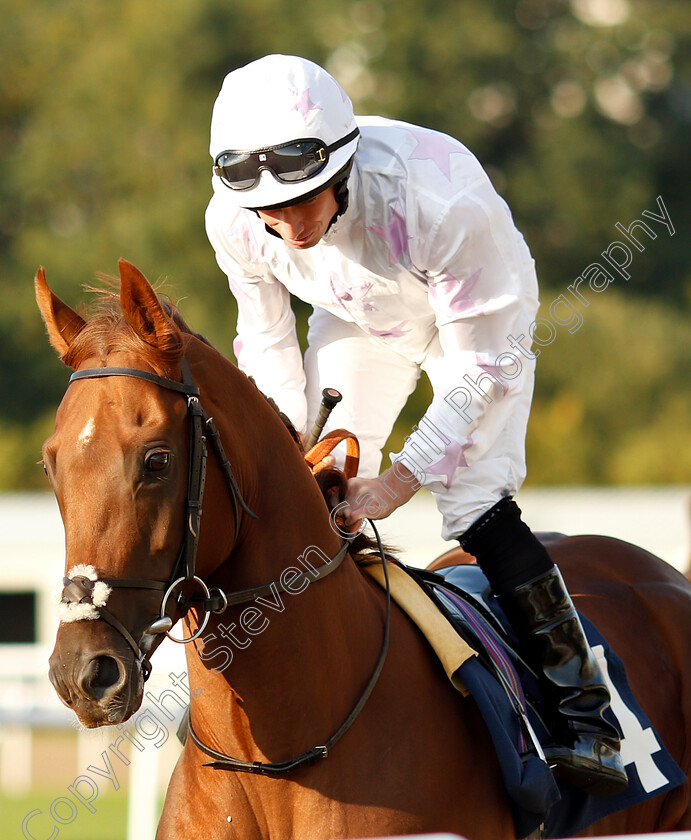 Extreme-Force-0001 
 EXTREME FORCE (Ryan Moore)
Wolverhampton 5 Sep 2018 - Pic Steven Cargill / Racingfotos.com