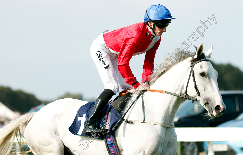 Estrange-0005 
 ESTRANGE (Daniel Tudhope)
Yarmouth 18 Sep 2024 - Pic Steven Cargill / Racingfotos.com