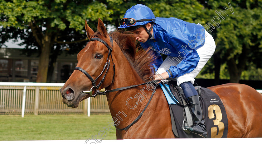 Precious-Jewel-0001 
 PRECIOUS JEWEL (William Buick)
Newmarket 29 Jun 2024 - Pic Steven Cargill / Racingfotos.com