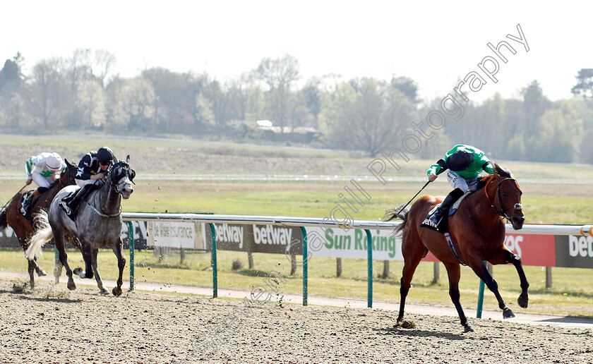 Kachy-0003 
 KACHY (Richard Kingscote) wins The Betway All-Weather Sprint Championships Stakes
Lingfield 19 Apr 2019 - Pic Steven Cargill / Racingfotos.com