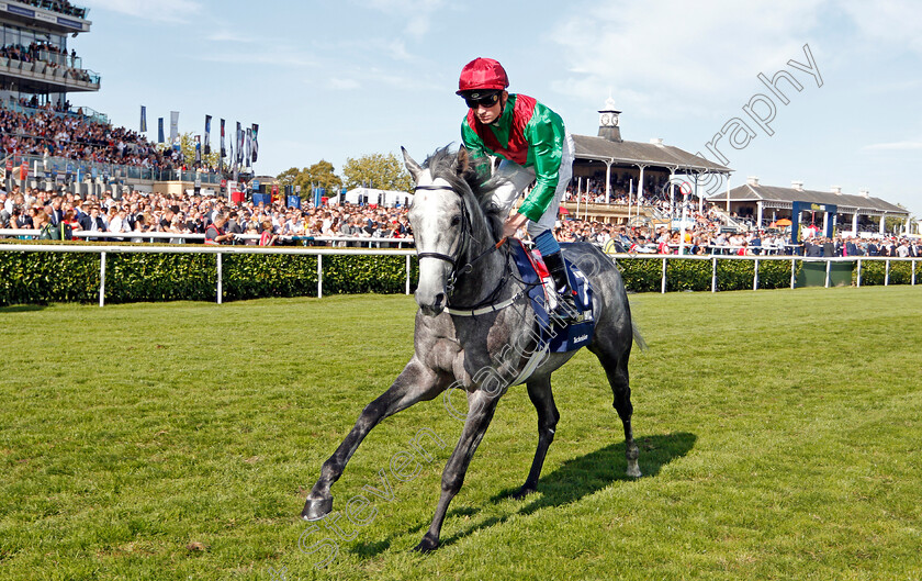 Technician-0002 
 TECHNICIAN (Rob Hornby)
Doncaster 14 Sep 2019 - Pic Steven Cargill / Racingfotos.com