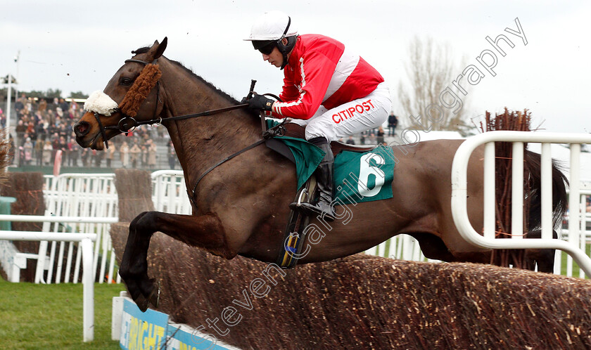 The-Druids-Nephew-0001 
 THE DRUIDS NEPHEW (Noel Fehily)
Cheltenham 1 Jan 2019 - Pic Steven Cargill / Racingfotos.com