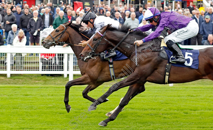 Cross-The-Tracks-0004 
 CROSS THE TRACKS (left, Neil Callan) beats MANHATTAN MIRAGE (right) in The British Stallion Studs EBF Novice Stakes Div2
Yarmouth 19 Sep 2023 - Pic Steven Cargill / Racingfotos.com