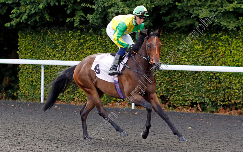 Grecian-God-0001 
 GRECIAN GOD (George Bass)
Kempton 16 Jul 2024 - Pic Steven Cargill / Racingfotos.com