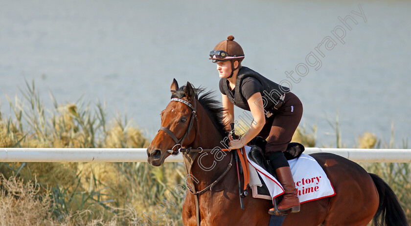 Victory-Chime-0005 
 VICTORY CHIME exercising in preparation for Friday's Bahrain International Trophy
Sakhir Racecourse, Bahrain 18 Nov 2021 - Pic Steven Cargill / Racingfotos.com