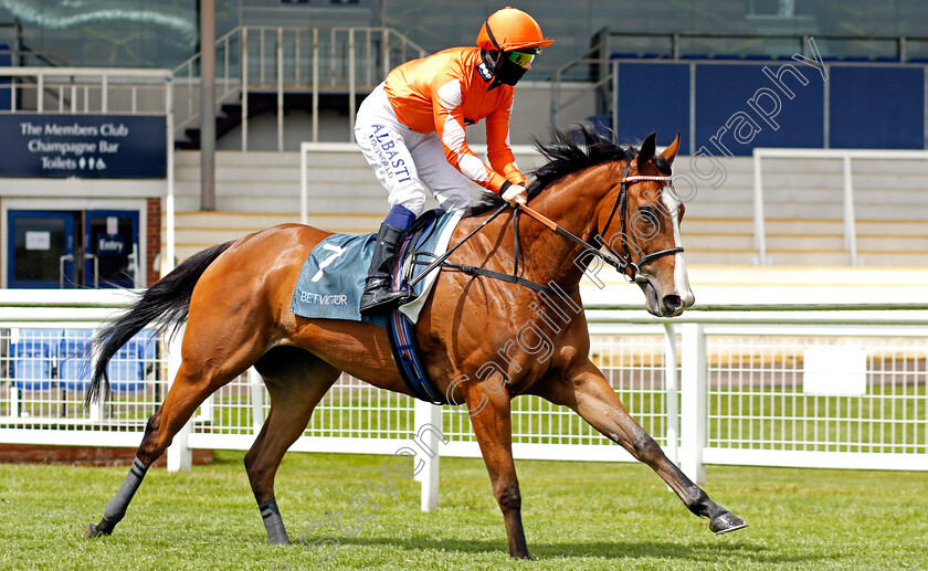 Treena-0001 
 TREENA (Ben Curtis)
Newbury 15 May 2021 - Pic Steven Cargill / Racingfotos.com