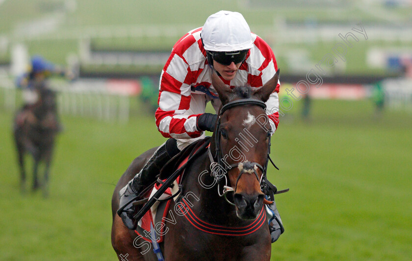 Hang-In-There-0005 
 HANG IN THERE (Adam Wedge) wins The Sky Bet Supreme Trial Novices Hurdle
Cheltenham 17 Nov 2019 - Pic Steven Cargill / Racingfotos.com