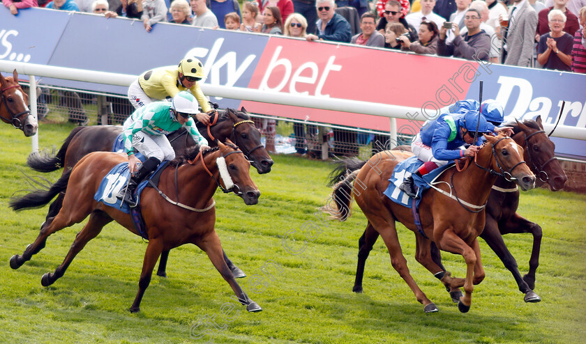 Poet s-Society-0004 
 POET'S SOCIETY (Frankie Dettori) wins The Clipper Logistics Handicap making Mark Johnston the winningmost trainer in UK 
York 23 Aug 2018 - Pic Steven Cargill / Racingfotos.com