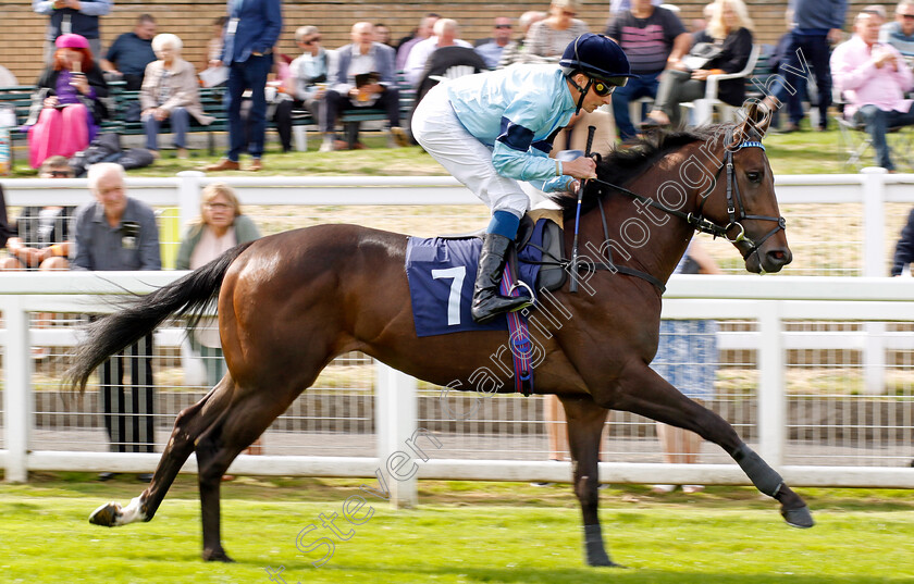 Proverb-0001 
 PROVERB (William Buick)
Yarmouth 13 Sep 2022 - Pic Steven Cargill / Racingfotos.com