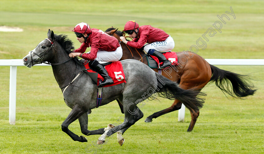 Graceful-Magic-0006 
 GRACEFUL MAGIC (Charles Bishop) wins The Download The Star Sports App Now EBF Fillies Novice Stakes
Sandown 30 May 2019 - Pic Steven Cargill / Racingfotos.com