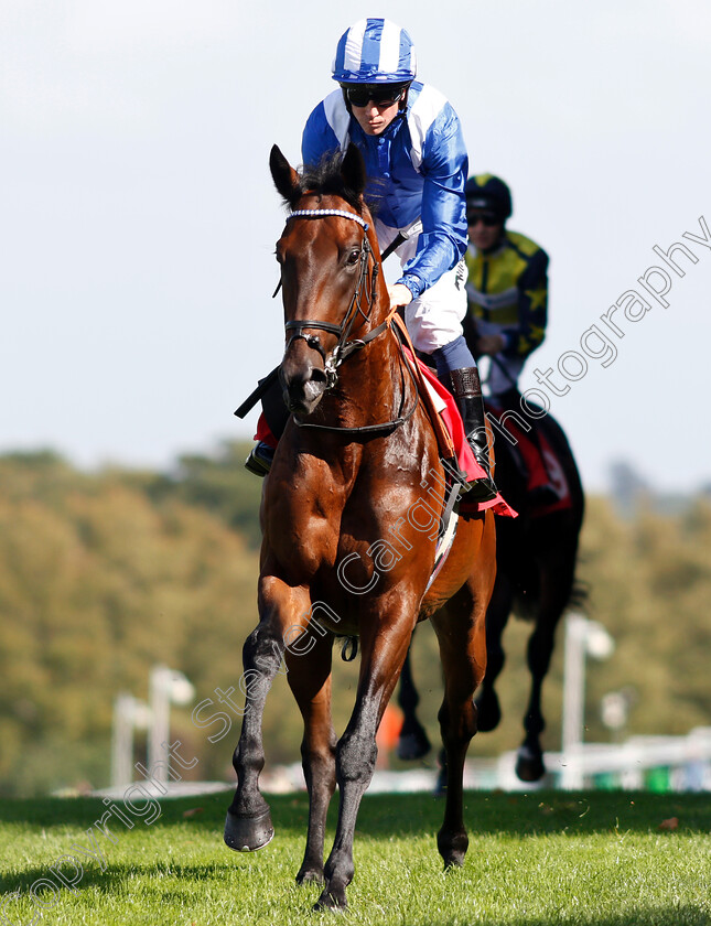 Dalaalaat-0002 
 DALAALAAT (Jim Crowley)
Sandown 19 Sep 2018 - Pic Steven Cargill / Racingfotos.com