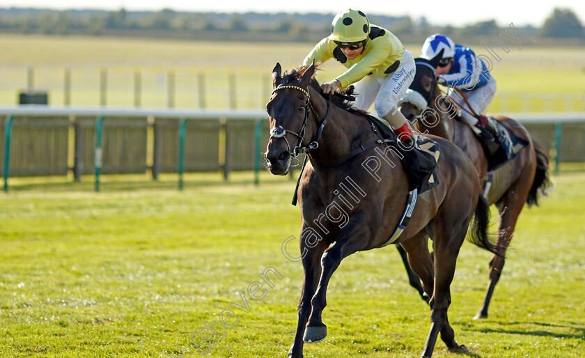 Without-A-Fight-0003 
 WITHOUT A FIGHT (Andrea Atzeni) wins The Unibet Godolphin Stakes
Newmarket 24 Sep 2021 - Pic Steven Cargill / Racingfotos.com